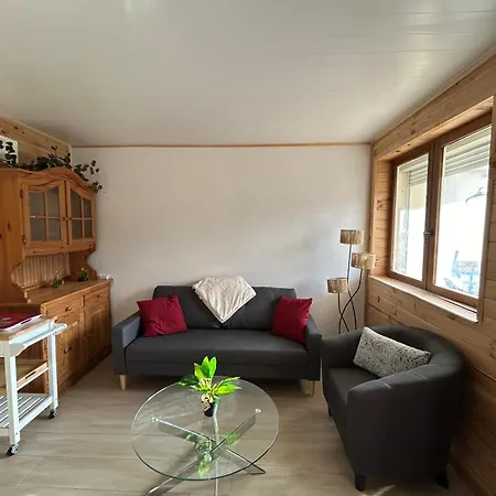 Logis Proche Gerardmer Avec Appartement *