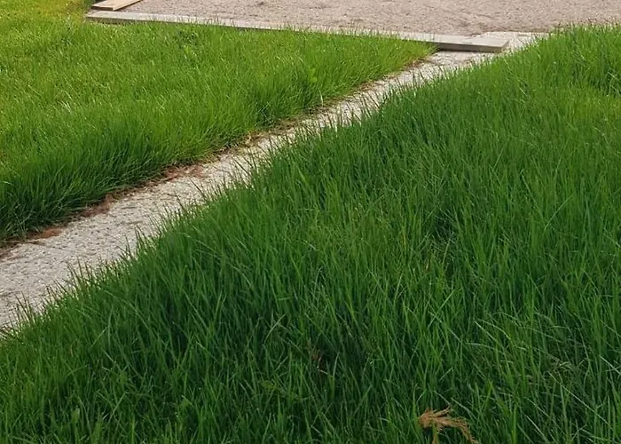 Logis Proche Gerardmer Avec *